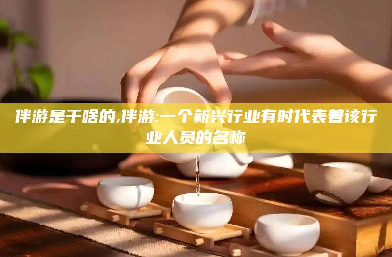 海盐伴游是干啥的,伴游:一个新兴行业有时代表着该行业人员的名称
